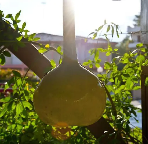 Kallisti Ormos Panagias